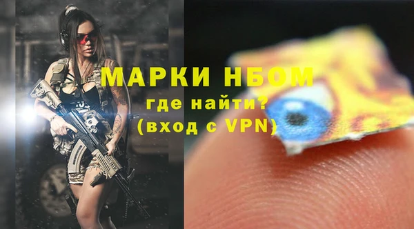 ПСИЛОЦИБИНОВЫЕ ГРИБЫ Каменка