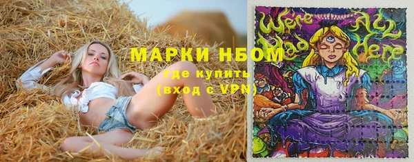 прущие крисы Каменногорск