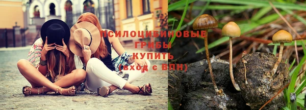 прущие крисы Каменногорск