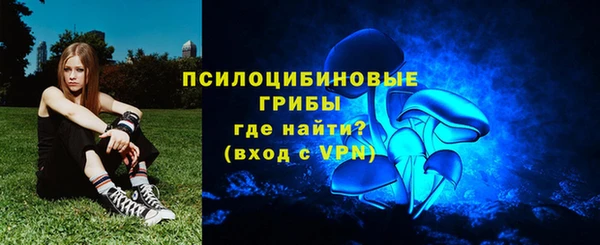 прущие крисы Каменногорск